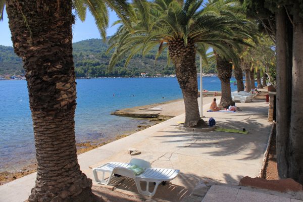 Vela Luka - photo 27