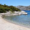 Piske - photo 8