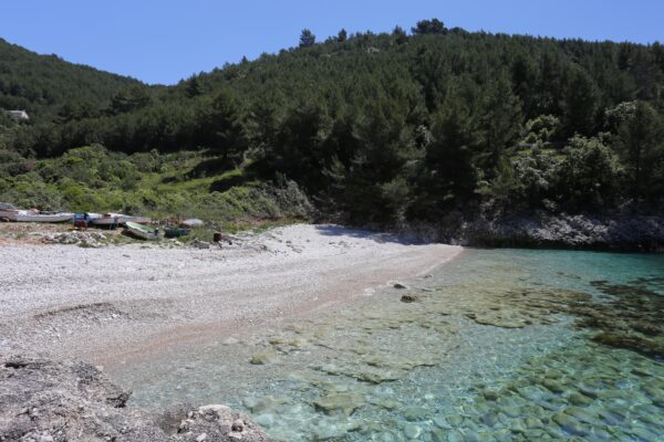 Orlanduša - photo 9