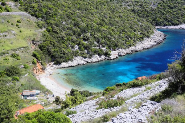 Pavja Luka - photo 5