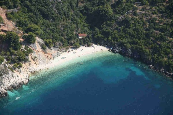 Vaja - photo 12