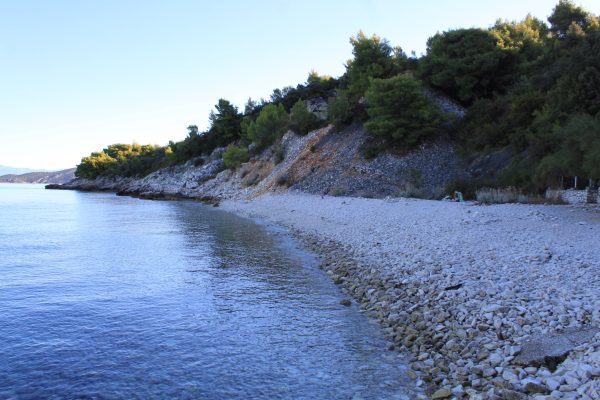 Vaja - photo 15
