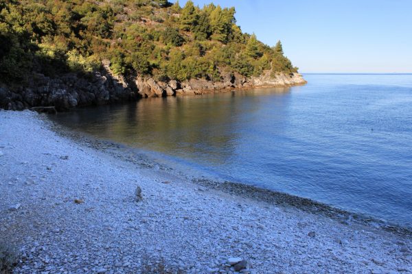 Vaja - photo 16