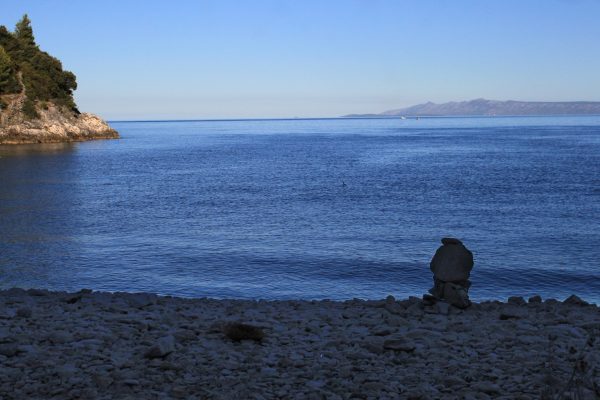 Vaja - photo 18