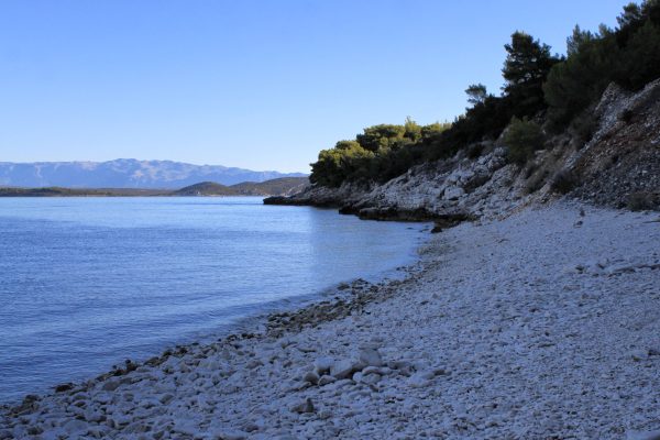 Vaja - photo 19
