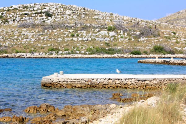 Suha Punta - photo 6