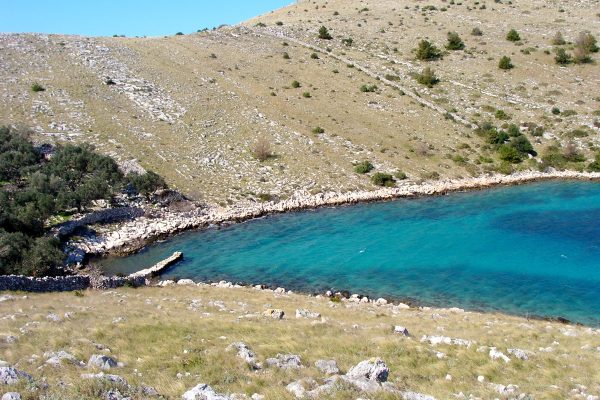 Vela Proversa - photo 17
