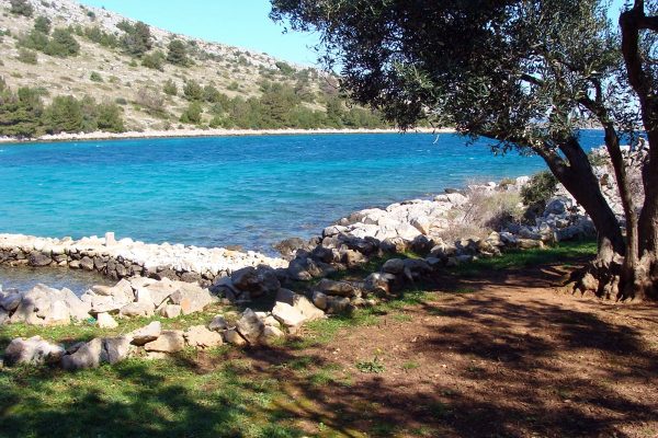 Vela Proversa - photo 21