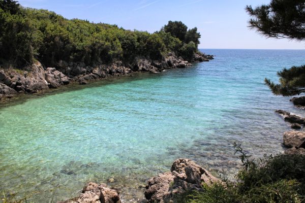 Redagara - photo 15
