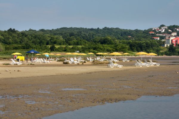Ladinka - photo 1