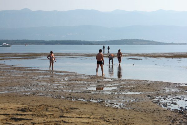 Ladinka - photo 16