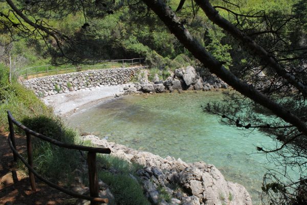 Redagara - photo 2