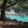 Redagara - photo 3
