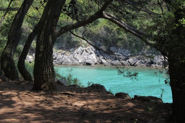 Redagara - photo 3