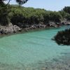 Redagara - photo 4