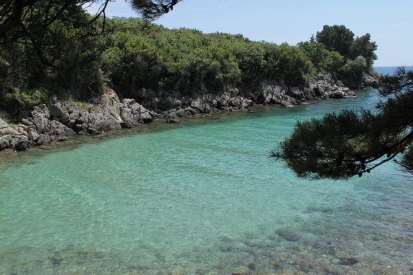 Redagara - photo 4