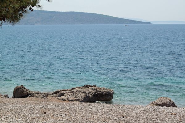 Redagara - photo 7