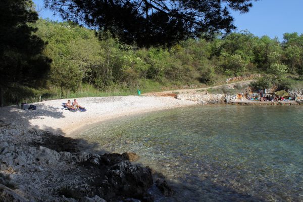 Nenadići - photo 5