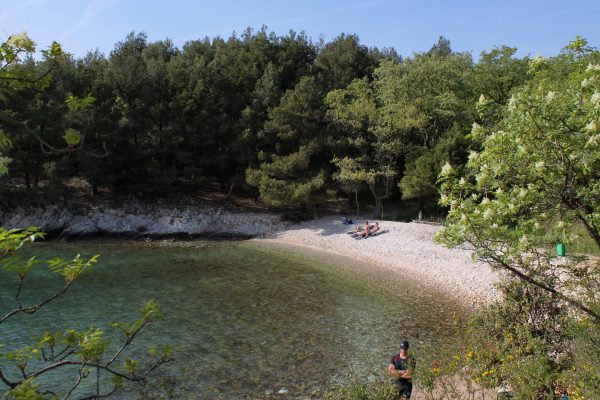 Nenadići - photo 6