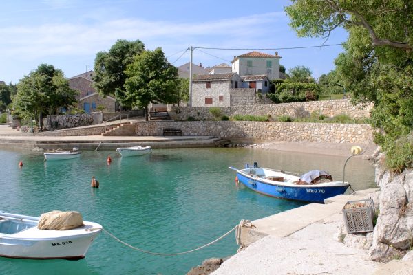 Porat - photo 11