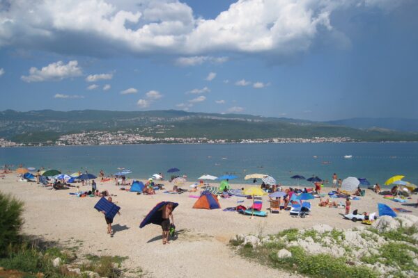 Šilo - photo 33