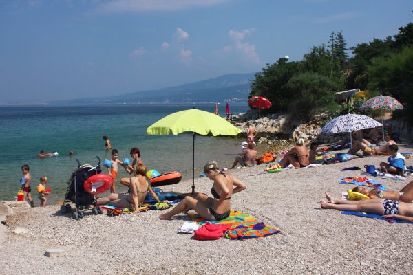 Šilo - photo 26
