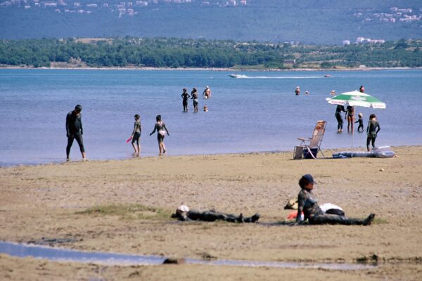 Soline - photo 9