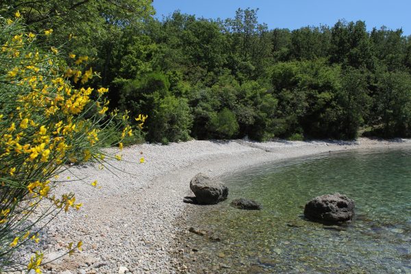 Magneli - photo 11