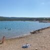 Dog Beach - photo 1