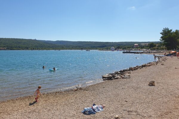 Dog Beach - photo 1