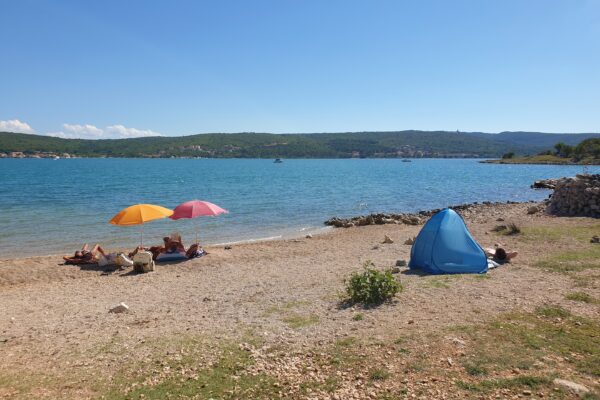 Dog Beach - photo 2