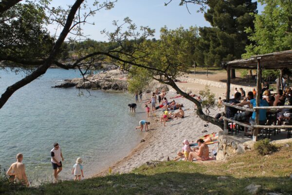 Jert - photo 9