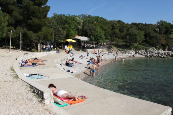Jert - photo 10