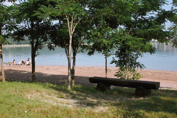 Soline - photo 5