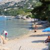 Zala - photo 39