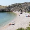 Zala - photo 42