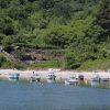 Kozica - photo 11