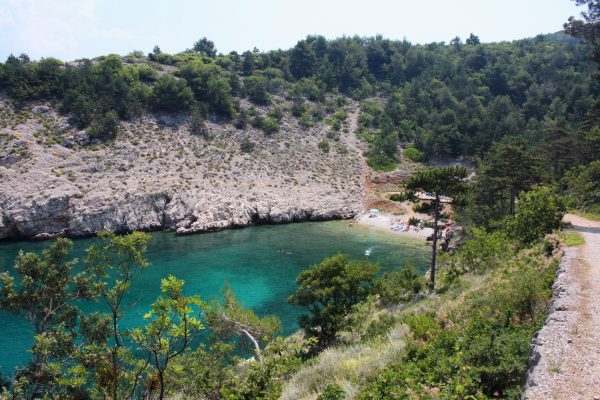 Kozica - photo 14