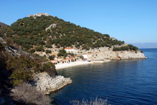 Beli - photo 12