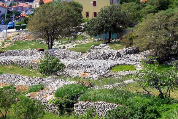 Cres - photo 23