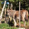 Cres - photo 24