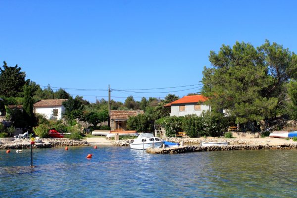 Draga - photo 2