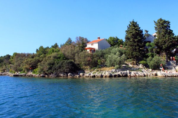 Draga - photo 3
