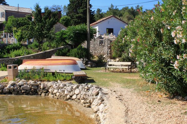 Draga - photo 4