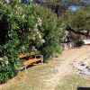 Draga - photo 6