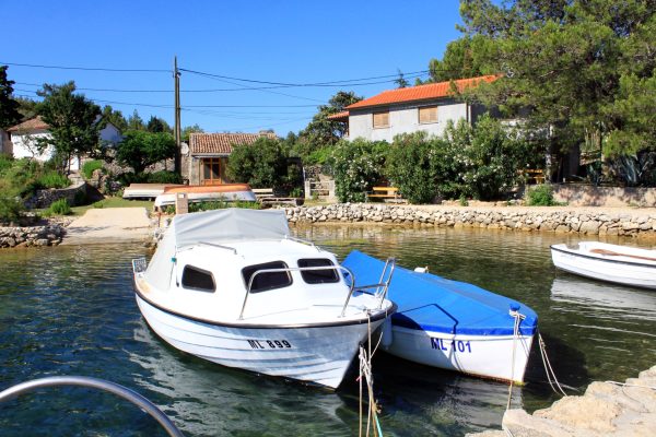 Draga - photo 7