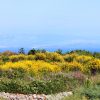 Loznati - photo 1