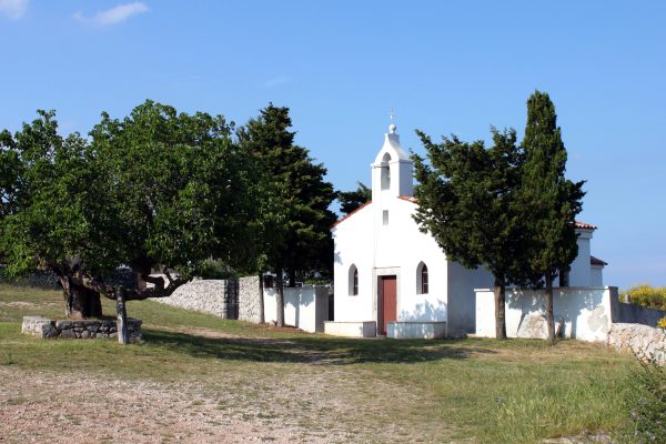 Loznati - photo 2