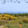 Loznati - photo 8