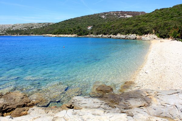 Ustrine - photo 3